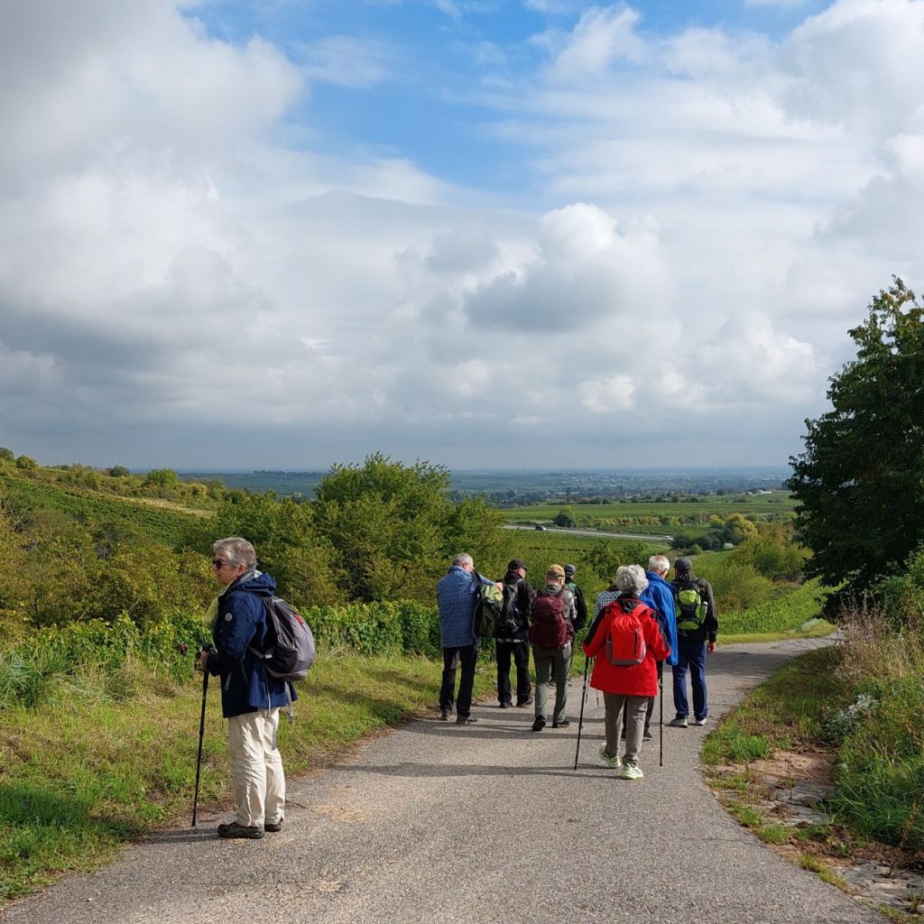 Wandern in der Pfalz